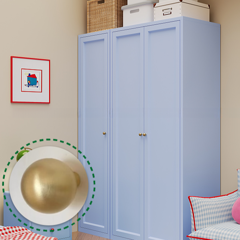 Simplistic Alloy Green/Blue/Pink Almirah with Alterable Shelf and Clothing Rod - image 11