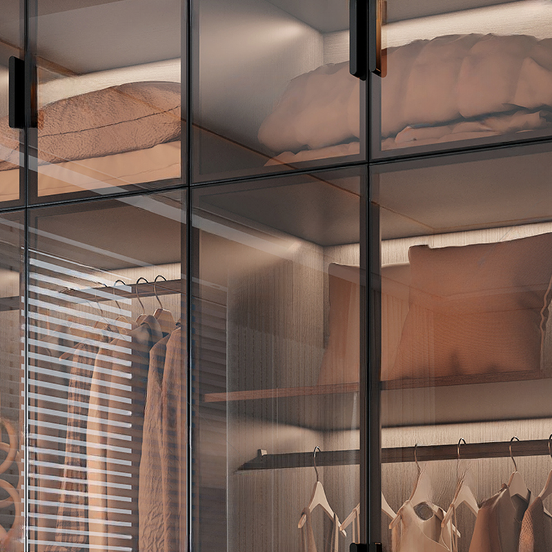 Transparent Simplistic Vitreous Wardrobe Closet with Soft Close Door, Interior Shelves, and Hanging Rod - image 6