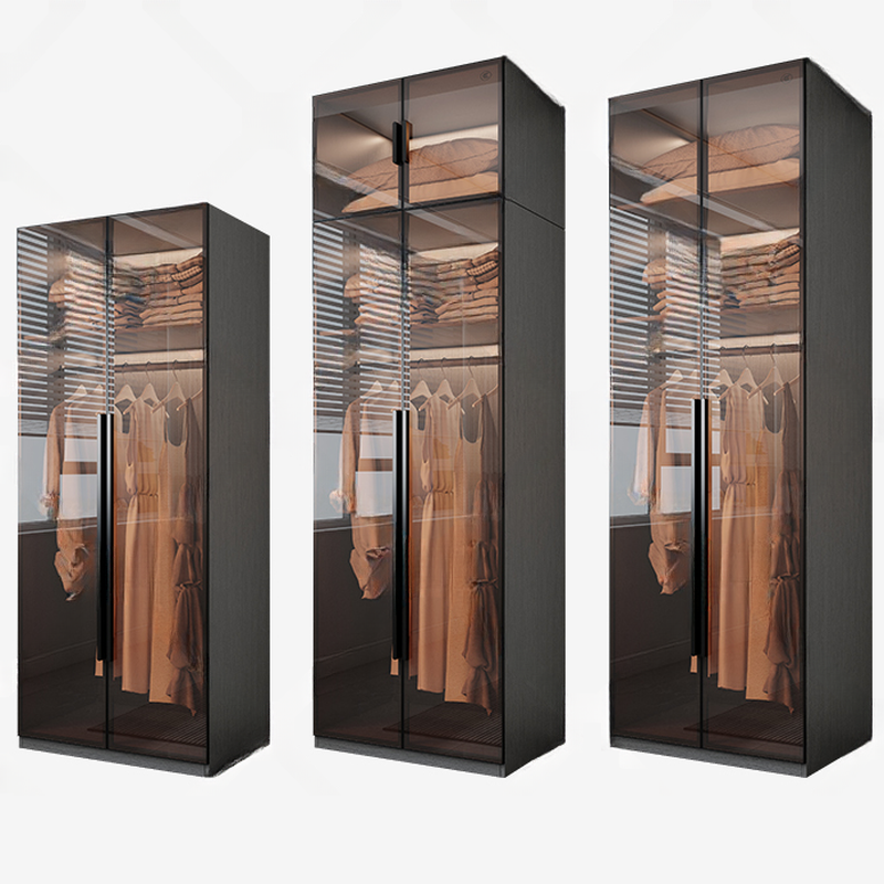Transparent Simplistic Vitreous Wardrobe Closet with Soft Close Door, Interior Shelves, and Hanging Rod - image 5