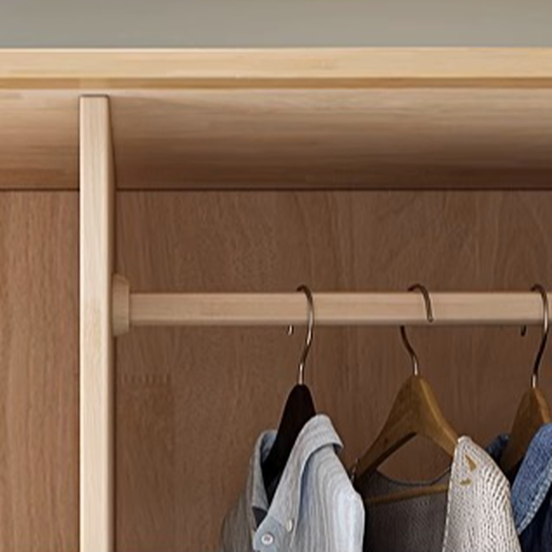 Minimalist Wooden Independent Wardrobe Closet with Compartments, Interior Shelves, Clothing Rod, and Gate - image 6
