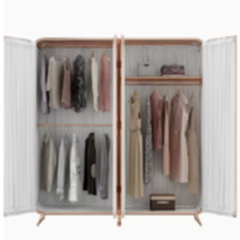 Modish Independent Alloy Almirah with Clothing Rod & Interior Shelves - image 3