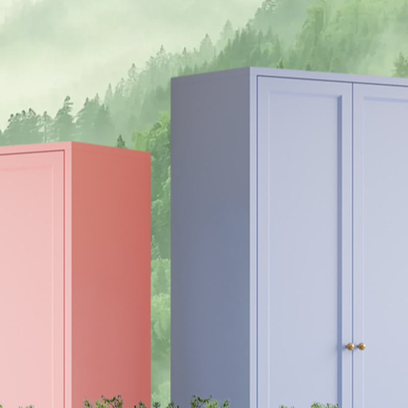 Simplistic Alloy Green/Blue/Pink Almirah with Alterable Shelf and Clothing Rod - image 9