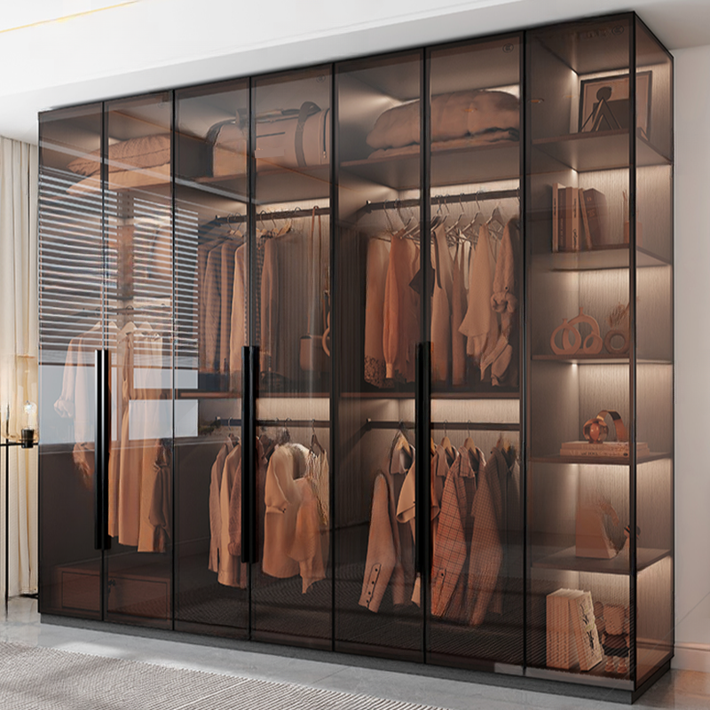 Transparent Simplistic Vitreous Wardrobe Closet with Soft Close Door, Interior Shelves, and Hanging Rod - image 4