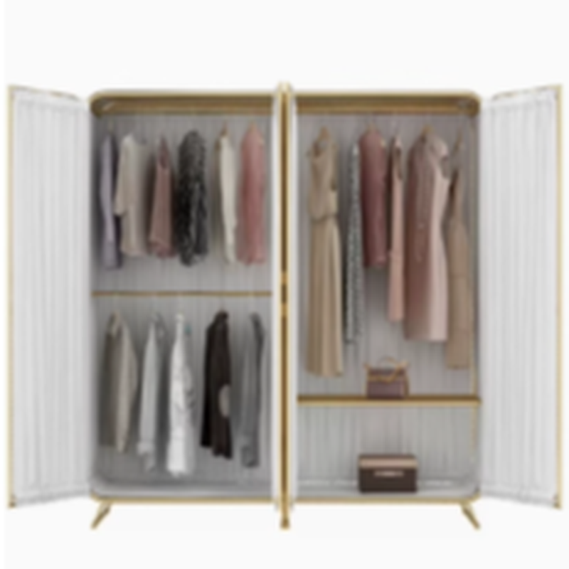 Modish Independent Alloy Almirah with Clothing Rod & Interior Shelves