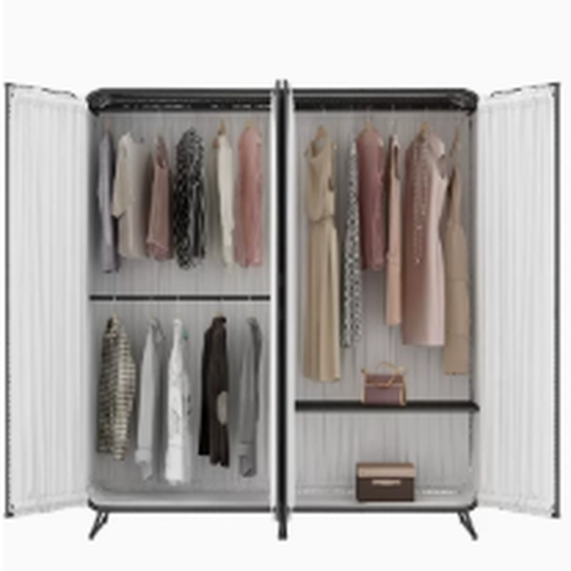 Modish Independent Alloy Almirah with Clothing Rod & Interior Shelves