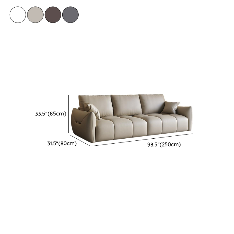 Modern Solid Color Scratch-defiant Standard Sofa in Light Gray/Emerald Green/Auburn, 3-seater with 2 Pillows - image 18