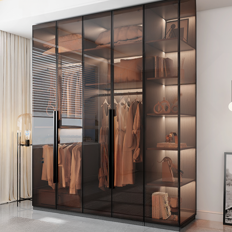 Transparent Simplistic Vitreous Wardrobe Closet with Soft Close Door, Interior Shelves, and Hanging Rod - image 8