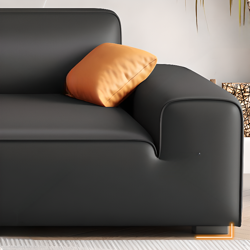 Midnight Black/White Standard Sofa/Loveseat with Armrest for Drawing Room - image 8