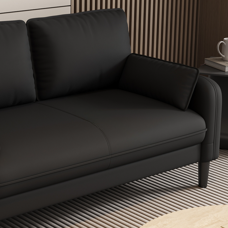 Trendy Water Resistant Standard Sofa/Loveseat/Single Sofa with Pillow Back in Dark Gray/White/Olive Green, Arm Included, Seats 3/2 People/1 Person with 2 Pillows - image 14