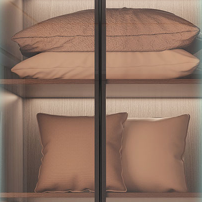 Transparent Simplistic Vitreous Wardrobe Closet with Soft Close Door, Interior Shelves, and Hanging Rod