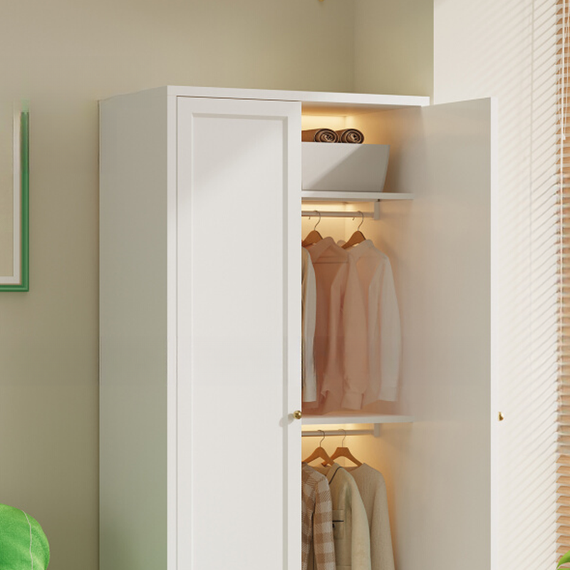 Simplistic Alloy Green/Blue/Pink Almirah with Alterable Shelf and Clothing Rod - image 8