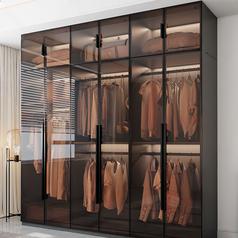 Transparent Simplistic Vitreous Wardrobe Closet with Soft Close Door, Interior Shelves, and Hanging Rod - image 7