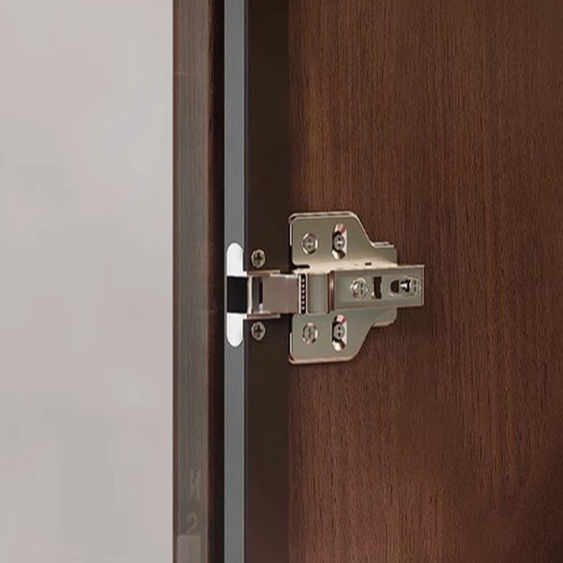 Glazed Door Accent Cabinet | Ormau - image 4