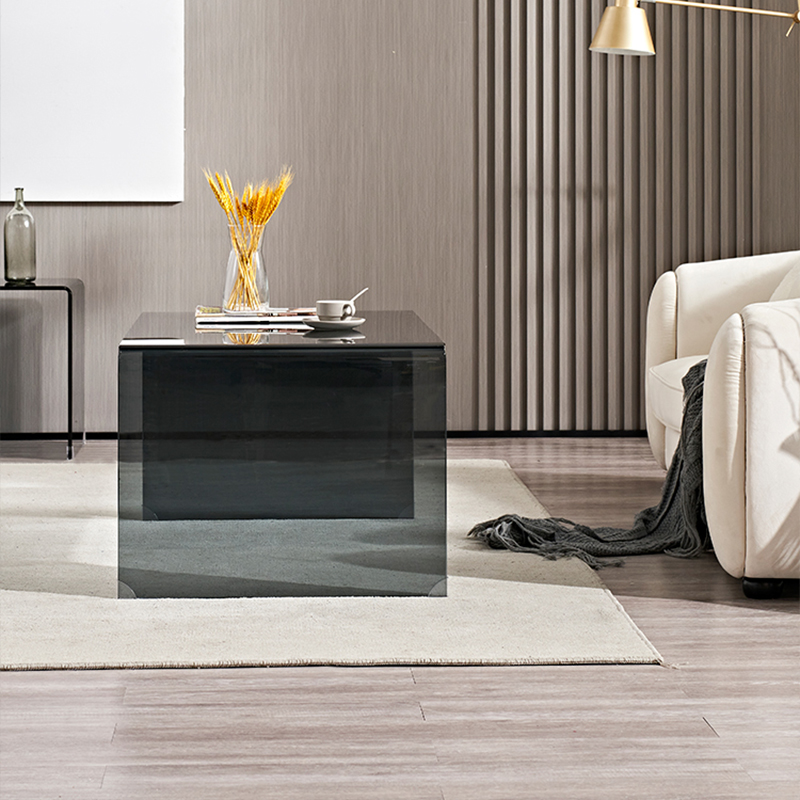 Glass Coffee Table | Ormau - image 11