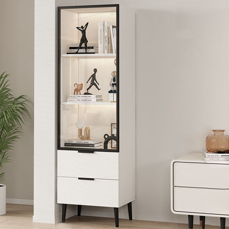 Glazed Door Accent Cabinet | Ormau - image 13