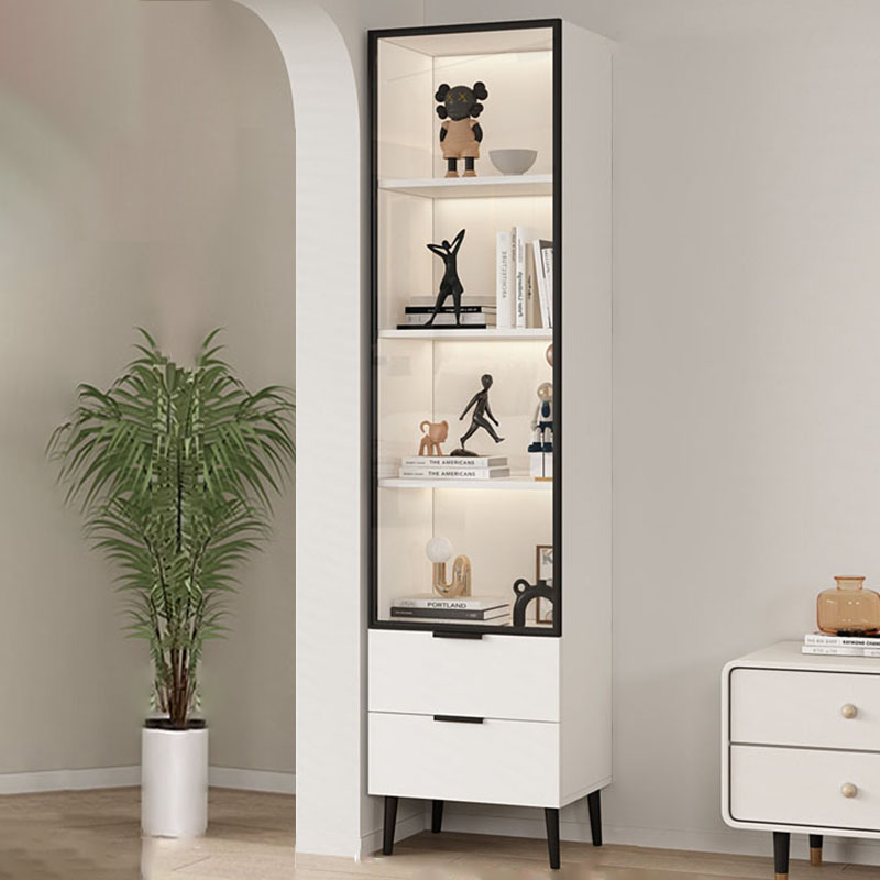 Glazed Door Accent Cabinet | Ormau - image 2