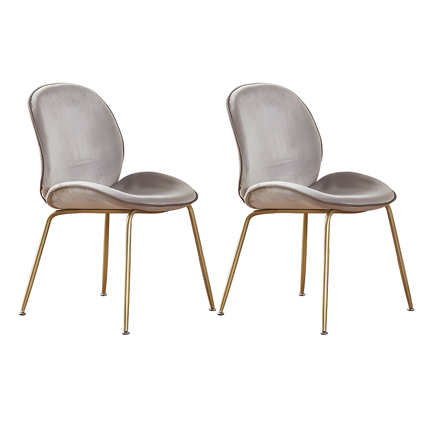 Wingback Dining Chair | Ormau - image 52