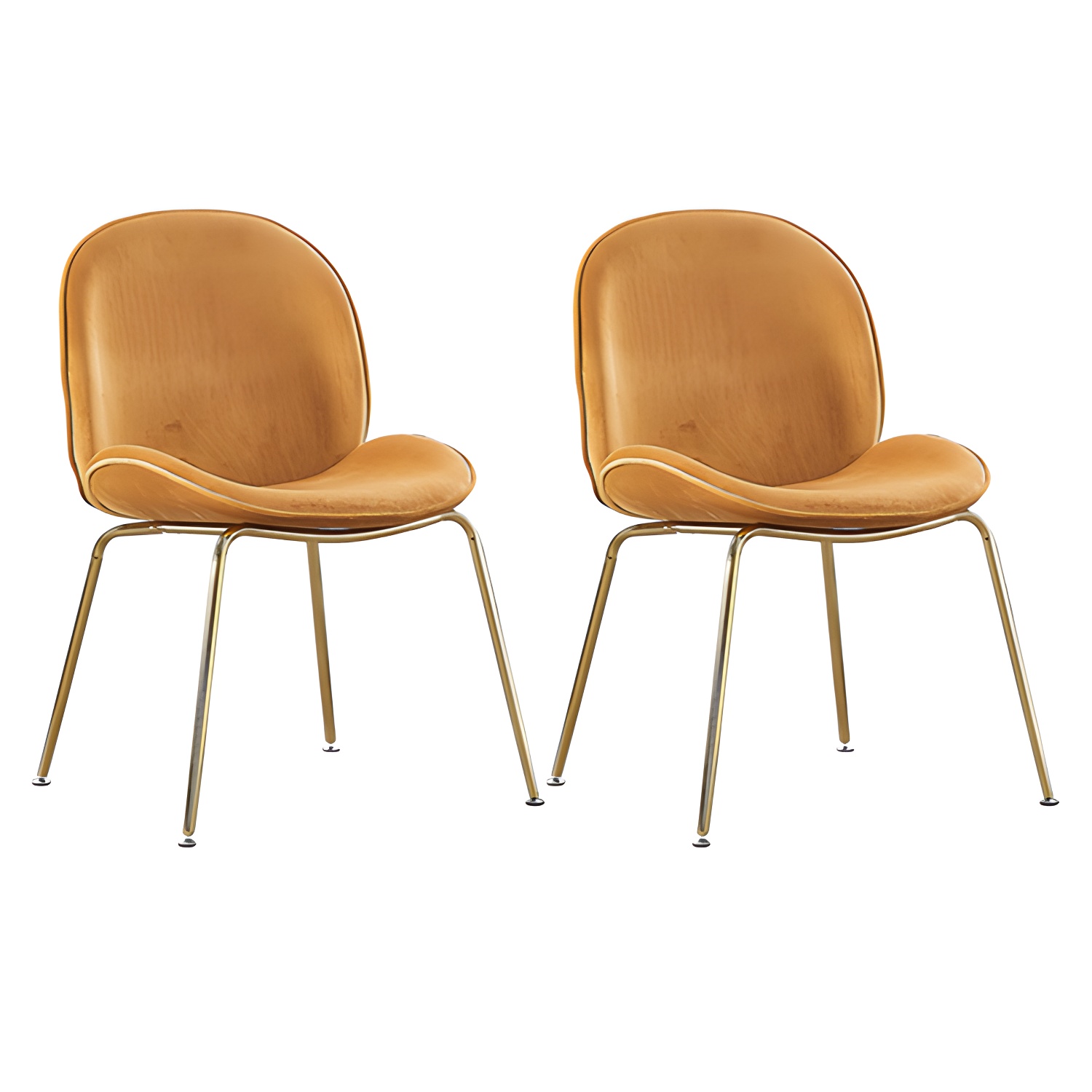 Wingback Dining Chair | Ormau - image 47