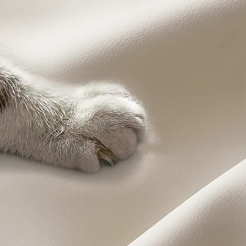 Serene Sleeper Sofa | Ormau - image 7